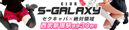 S-Galaxy